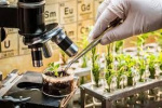 تغییر عنوان گروه آموزشی زراعت و اصلاح نباتات به مهندسی تولید و ژنتیک گیاهی