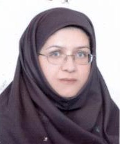 نصرت رضایی