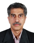 دکتر سید ناصر رئیس السادات