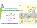 سخنرانی هفته پژوهش گروه شیمی: &quot;Molecular Mechanism of Natural Photosynthesis&quot;