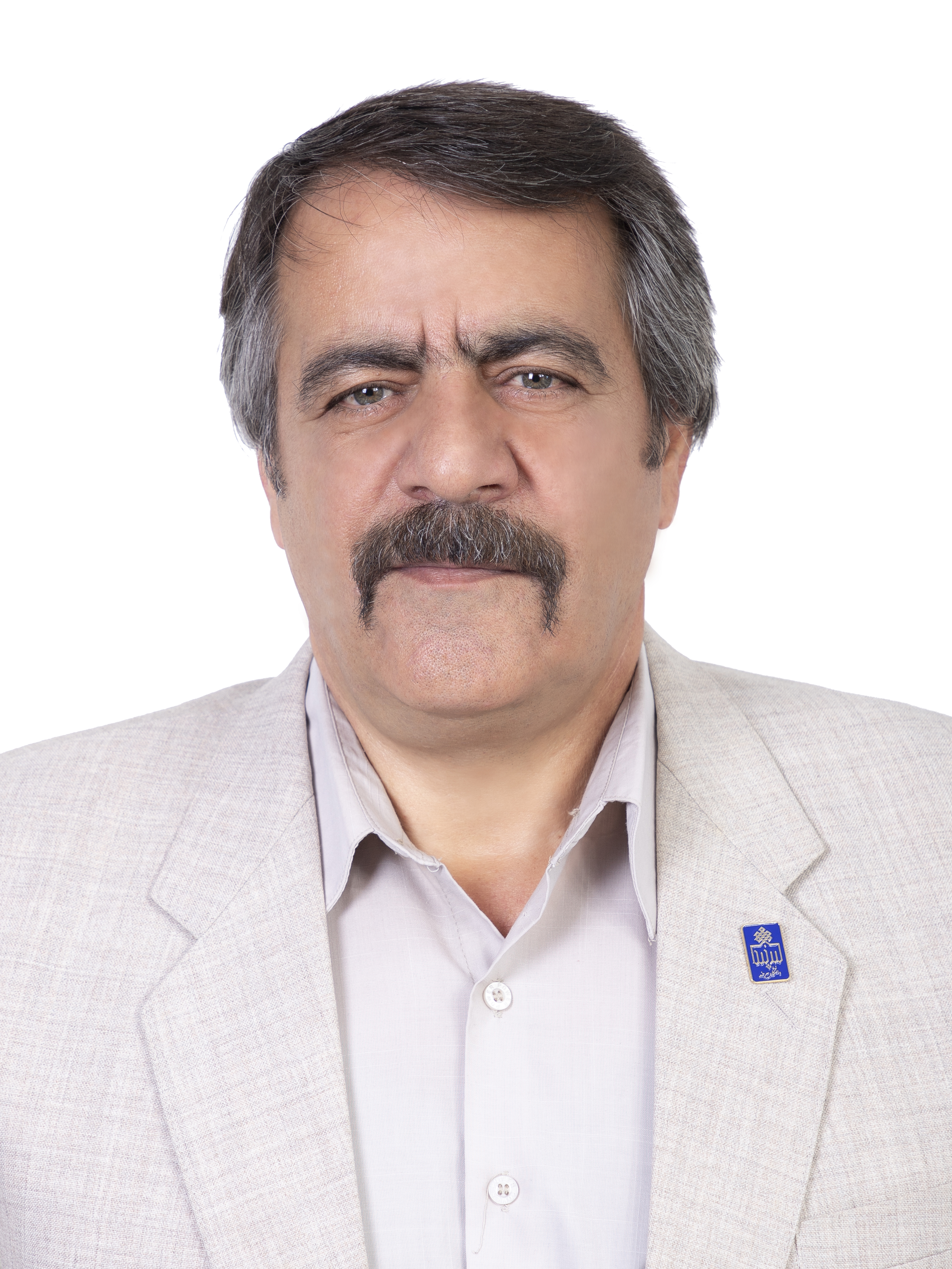 محمد زجاجی