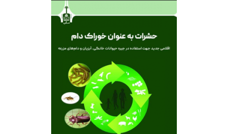 حشرات به‌عنوان خوراک دام