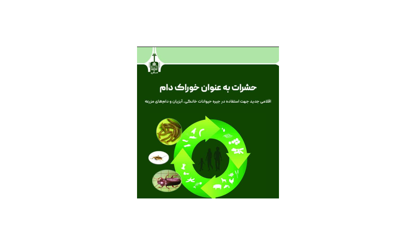 حشرات به‌عنوان خوراک دام