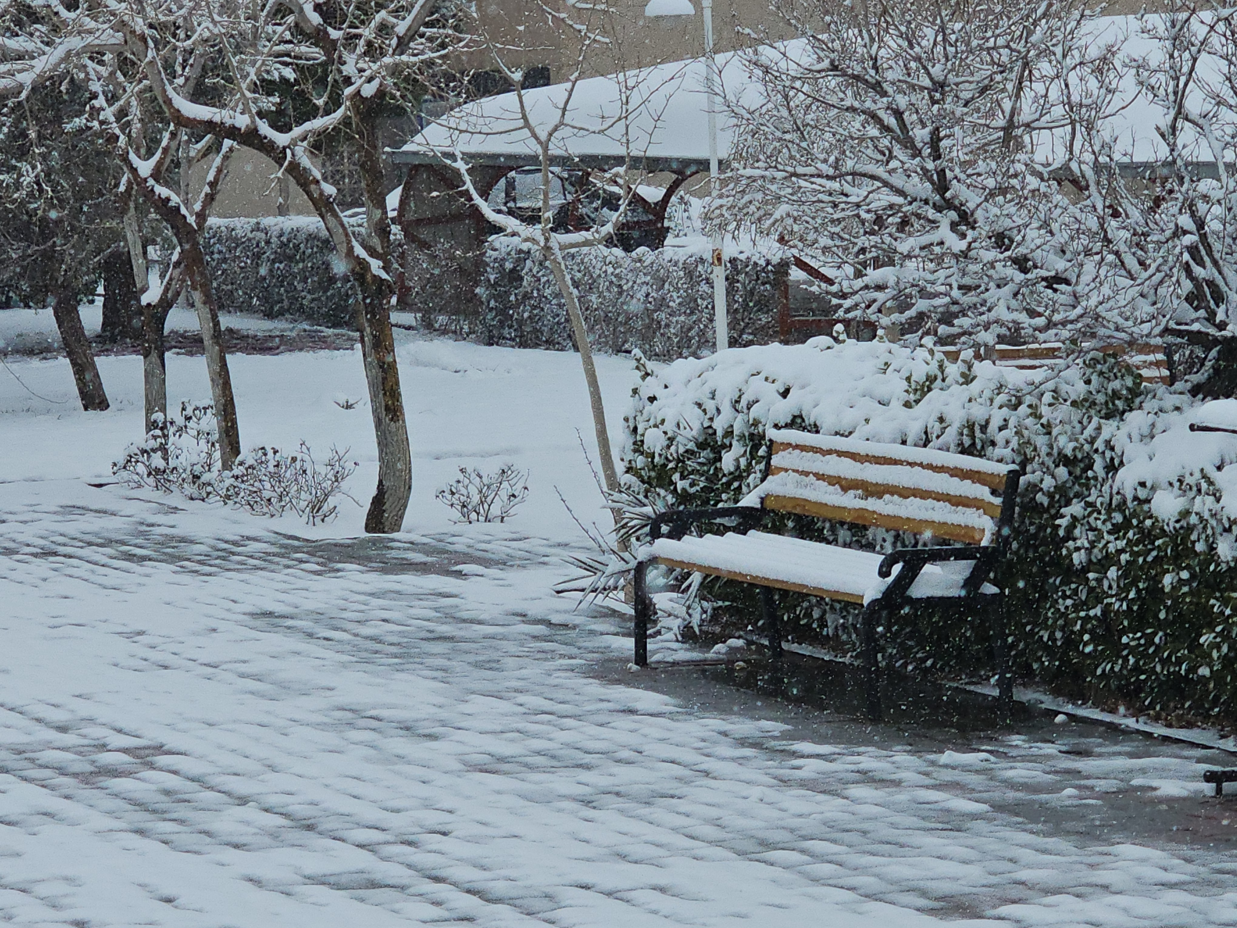 بارش برف و فصل زمستان در پردیس کشاورزی، منابع طبیعی و محیط زیست (1 بهمن 1404)