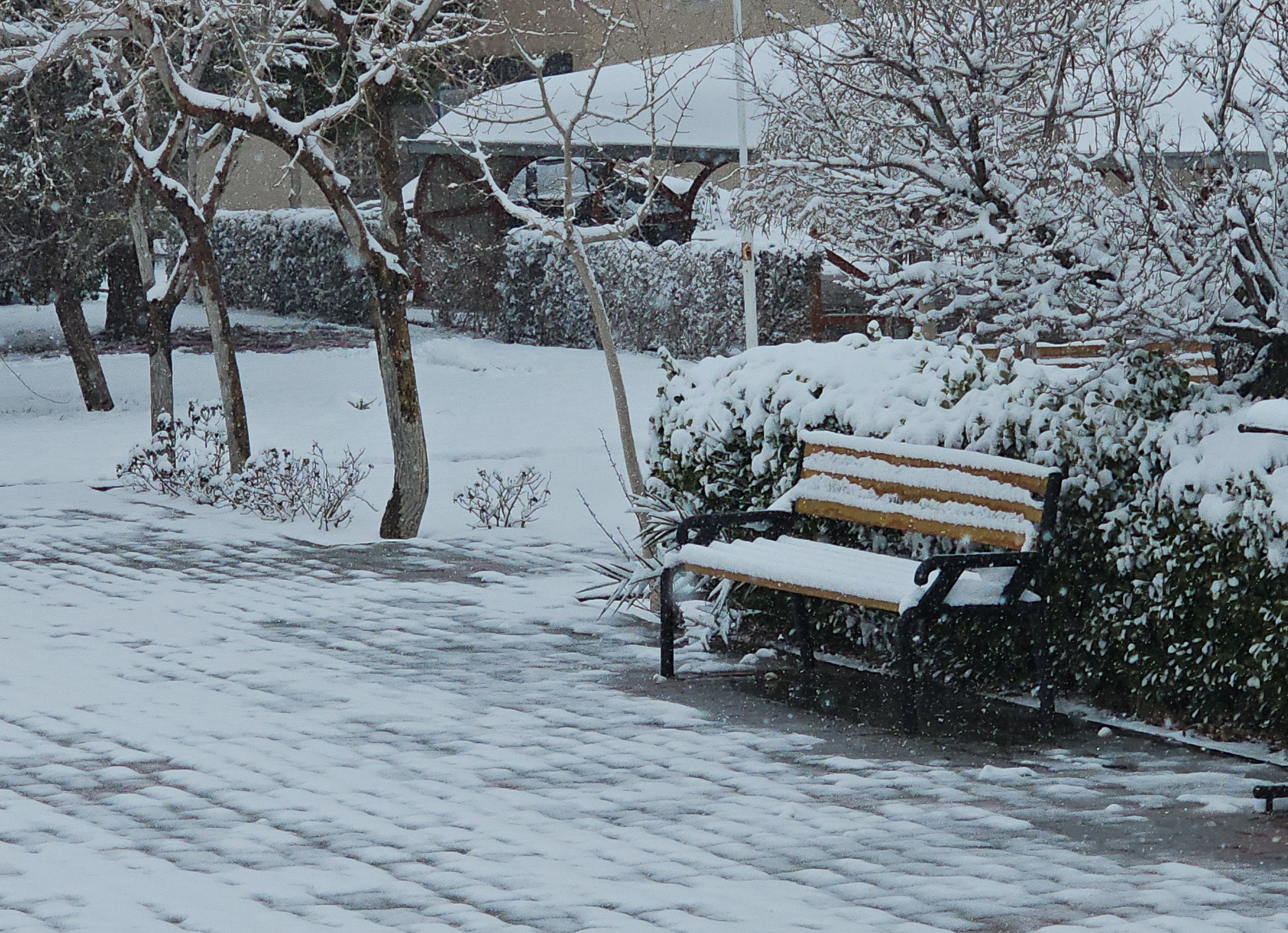 بارش برف و فصل زمستان در پردیس کشاورزی، منابع طبیعی و محیط زیست (1 بهمن 1404)