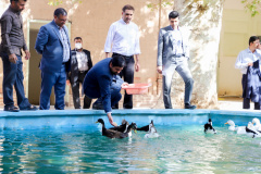 بازدید معاون وزیر و بهره برداری از استخر ‌‌ذخیره آب پردیس (۱۲ مهر)