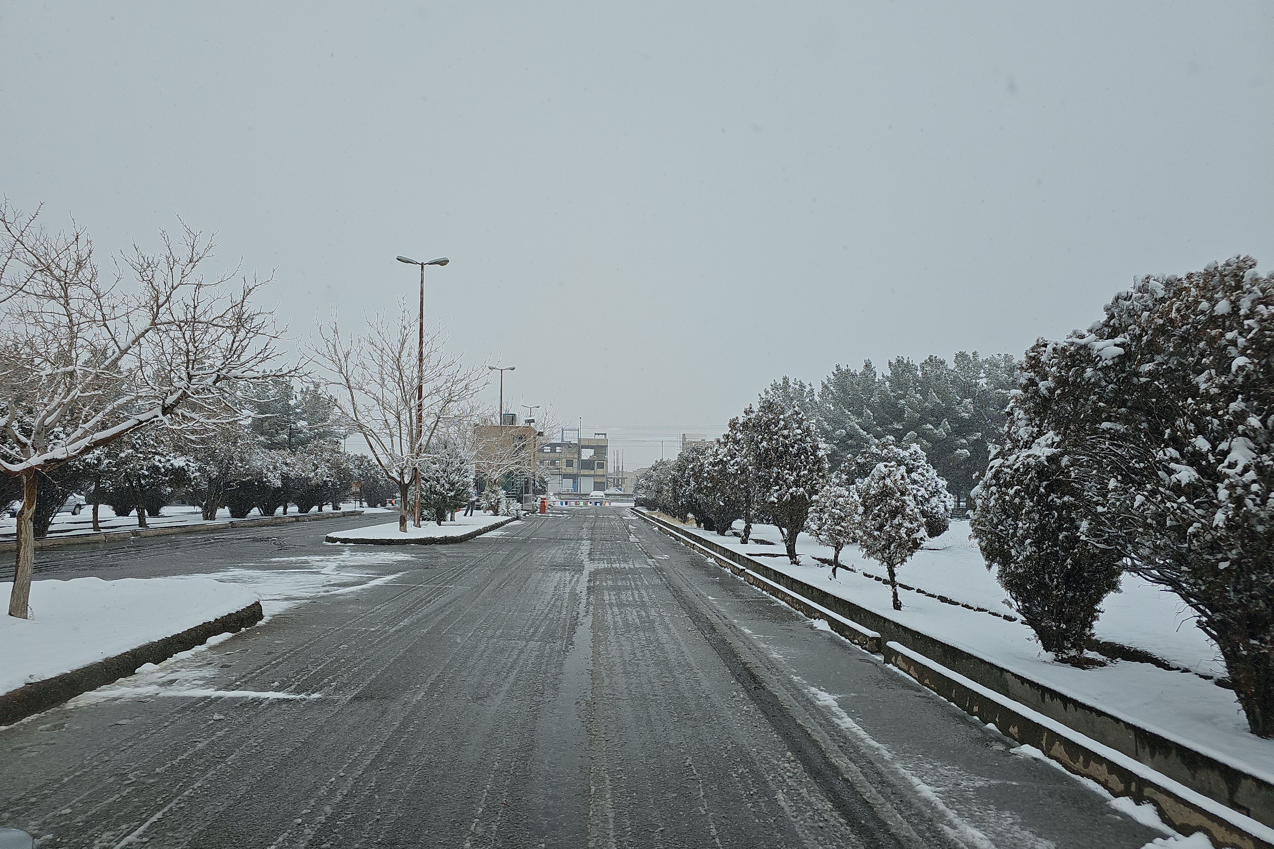 بارش برف و فصل زمستان در پردیس کشاورزی، منابع طبیعی و محیط زیست (1 بهمن 1404)