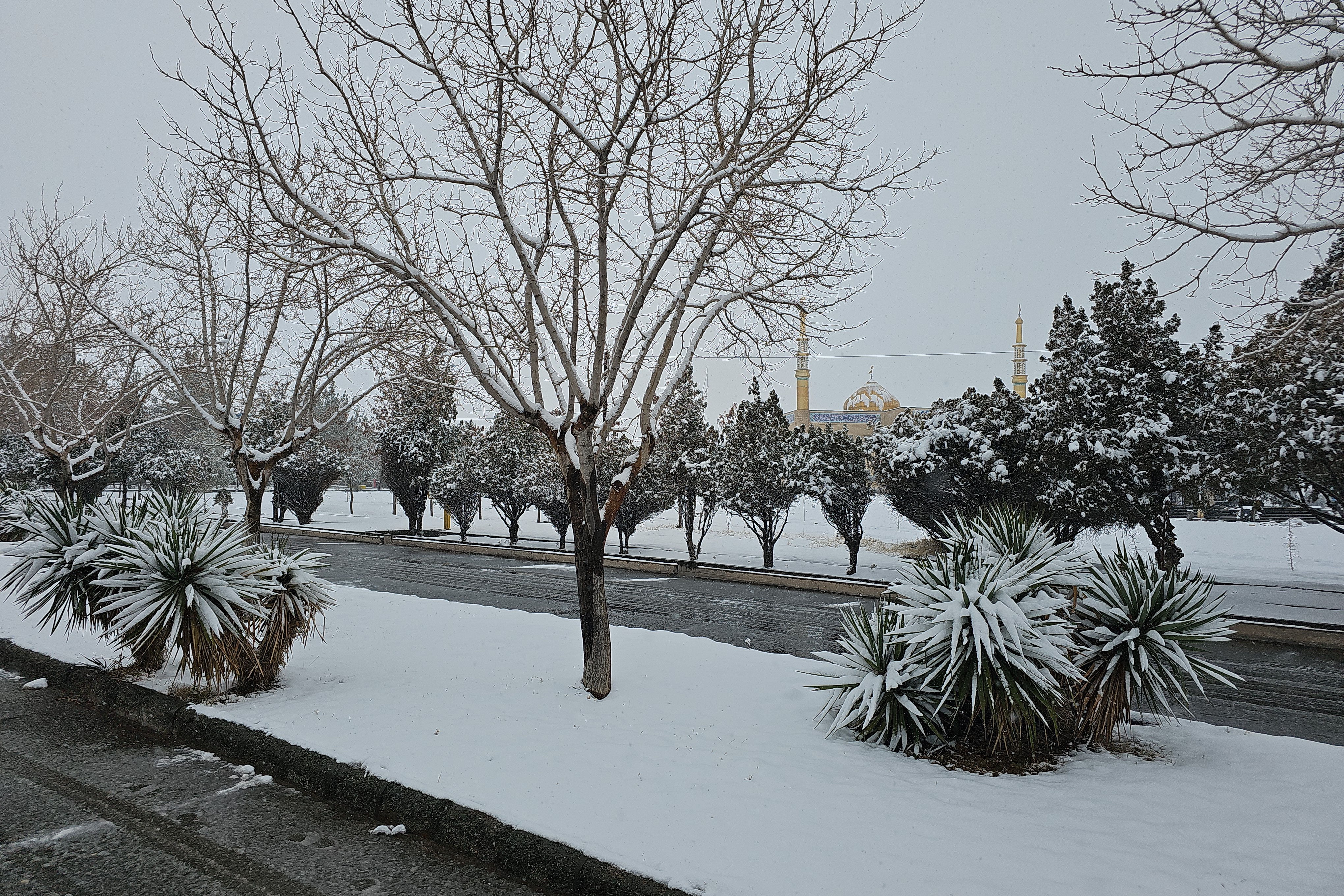 بارش برف و فصل زمستان در پردیس کشاورزی، منابع طبیعی و محیط زیست (1 بهمن 1404)