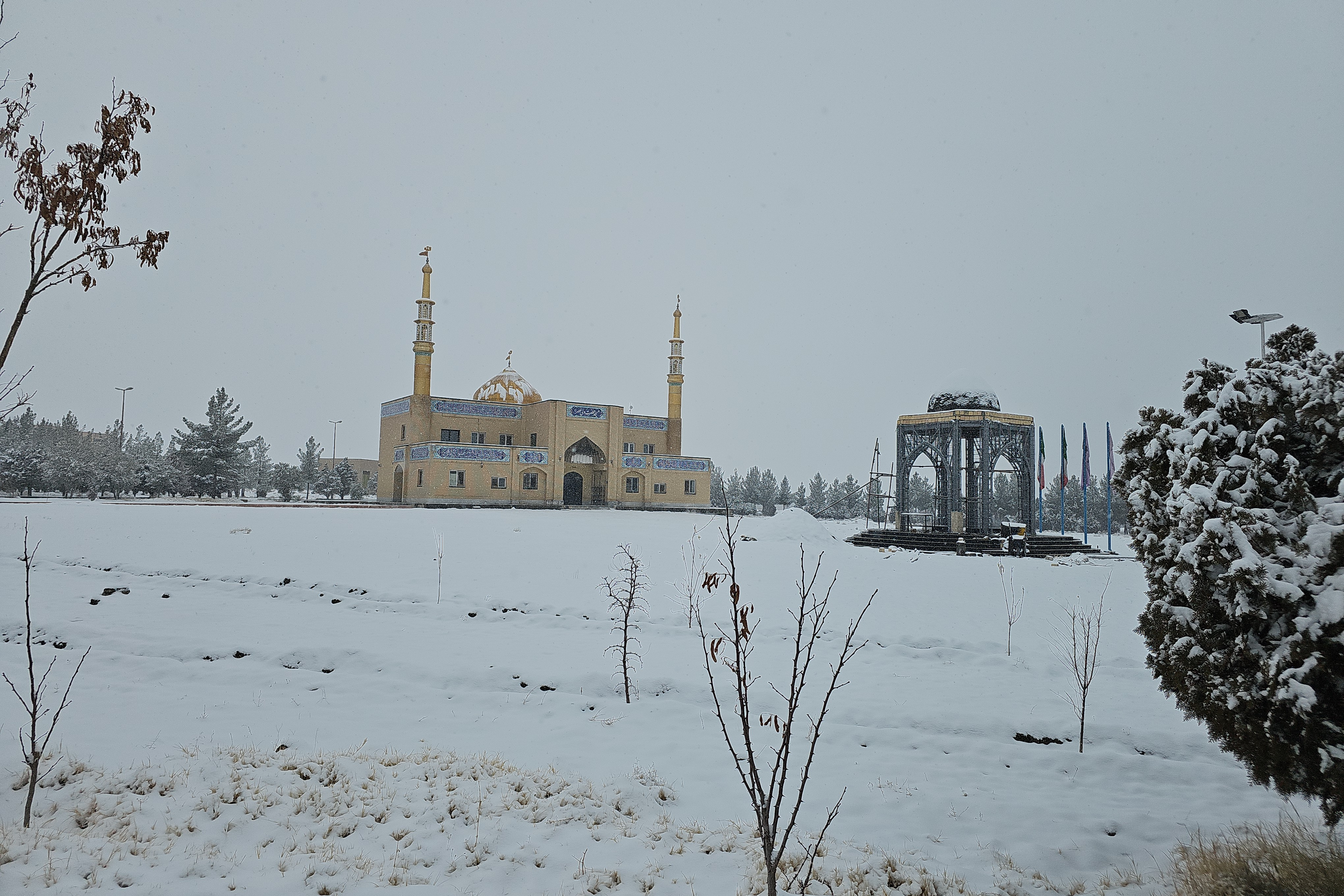 جلوه روز برفی در پردیس کشاورزی، منابع طبیعی و محیط زیست (1 بهمن 1404)