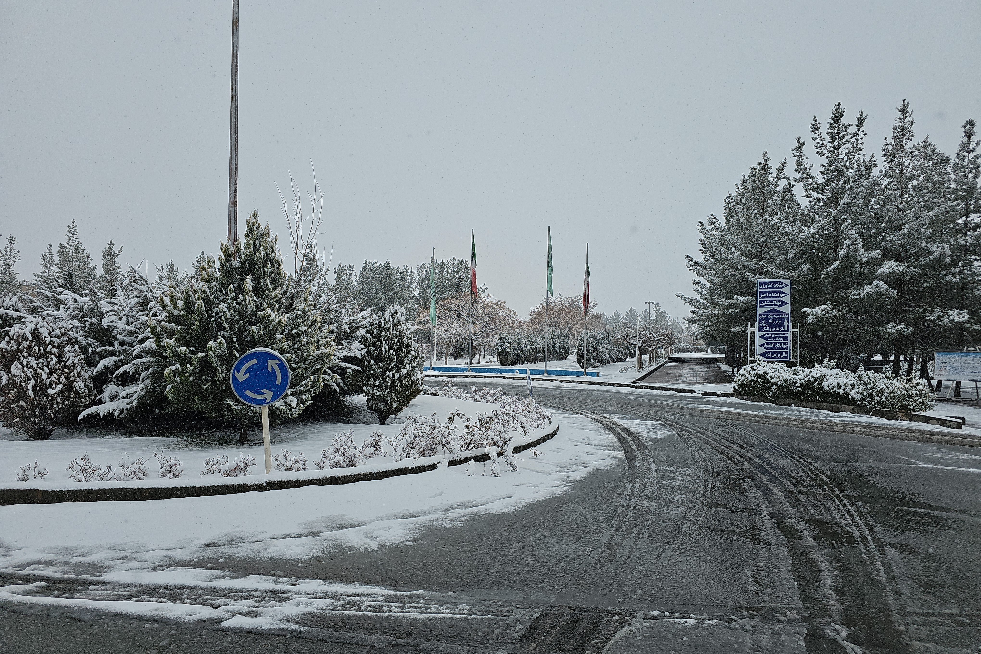 جلوه روز برفی در پردیس کشاورزی، منابع طبیعی و محیط زیست (1 بهمن 1404)