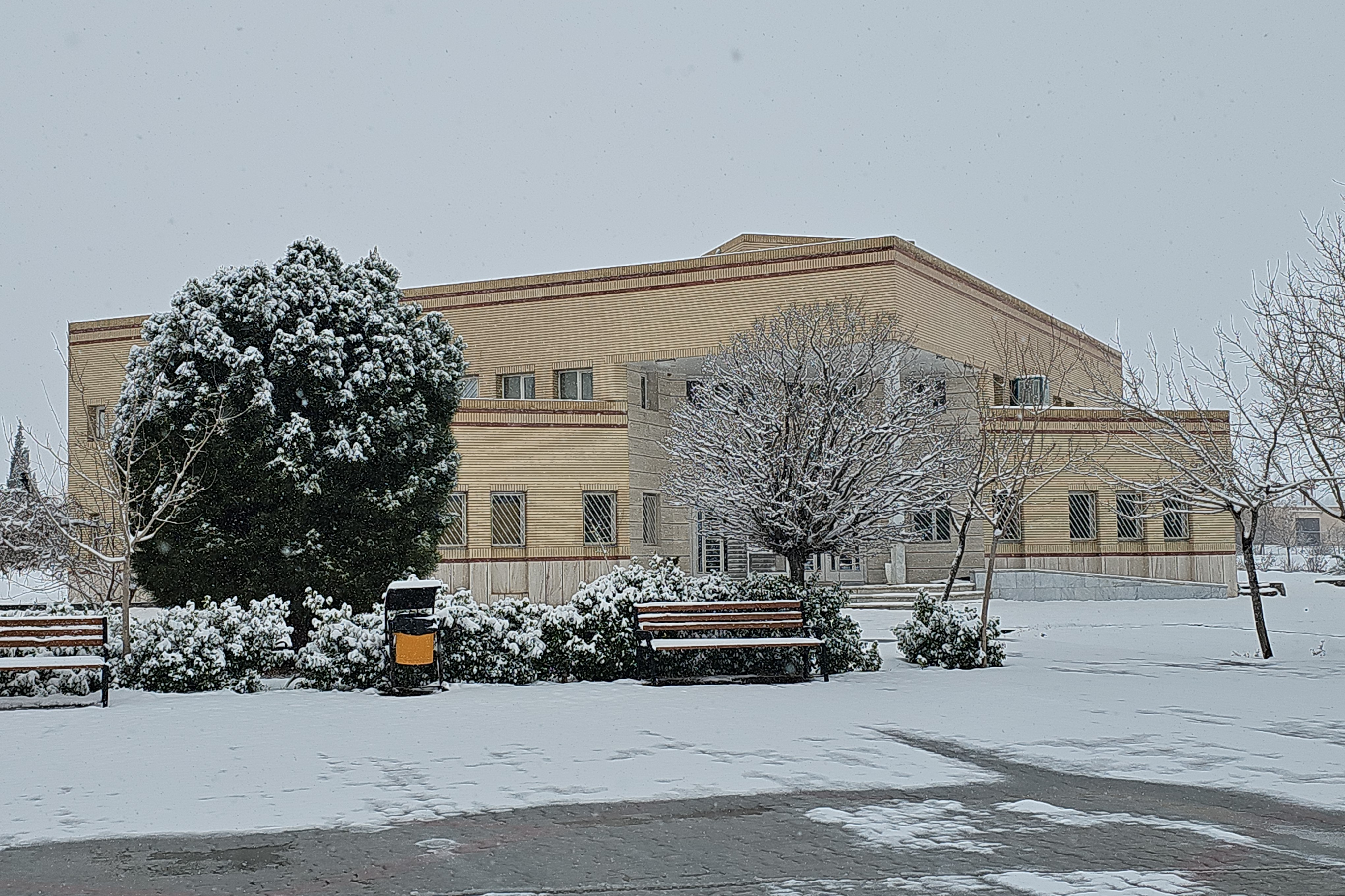 جلوه روز برفی در پردیس کشاورزی، منابع طبیعی و محیط زیست (1 بهمن 1404)