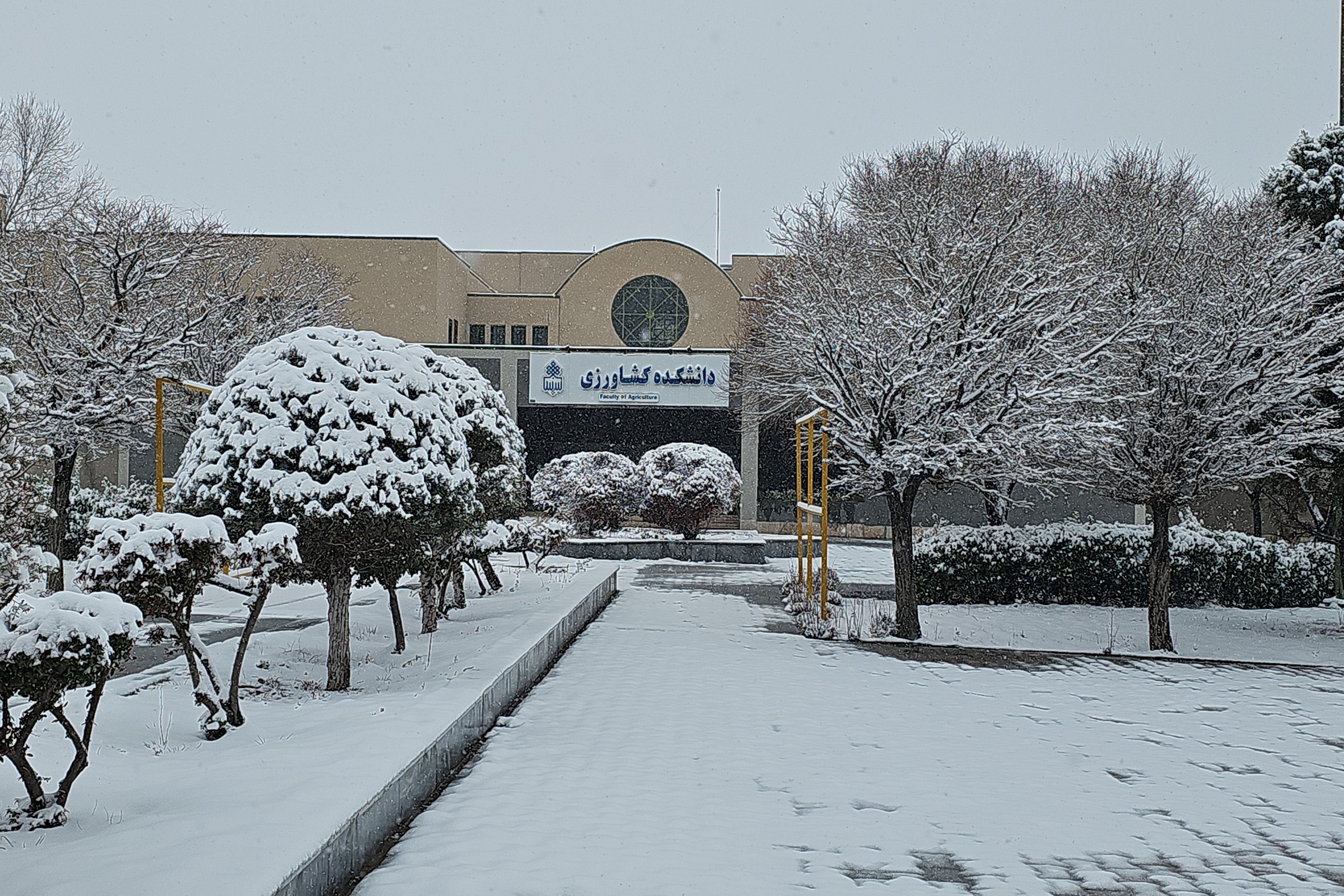 جلوه روز برفی در پردیس کشاورزی، منابع طبیعی و محیط زیست (1 بهمن 1404)