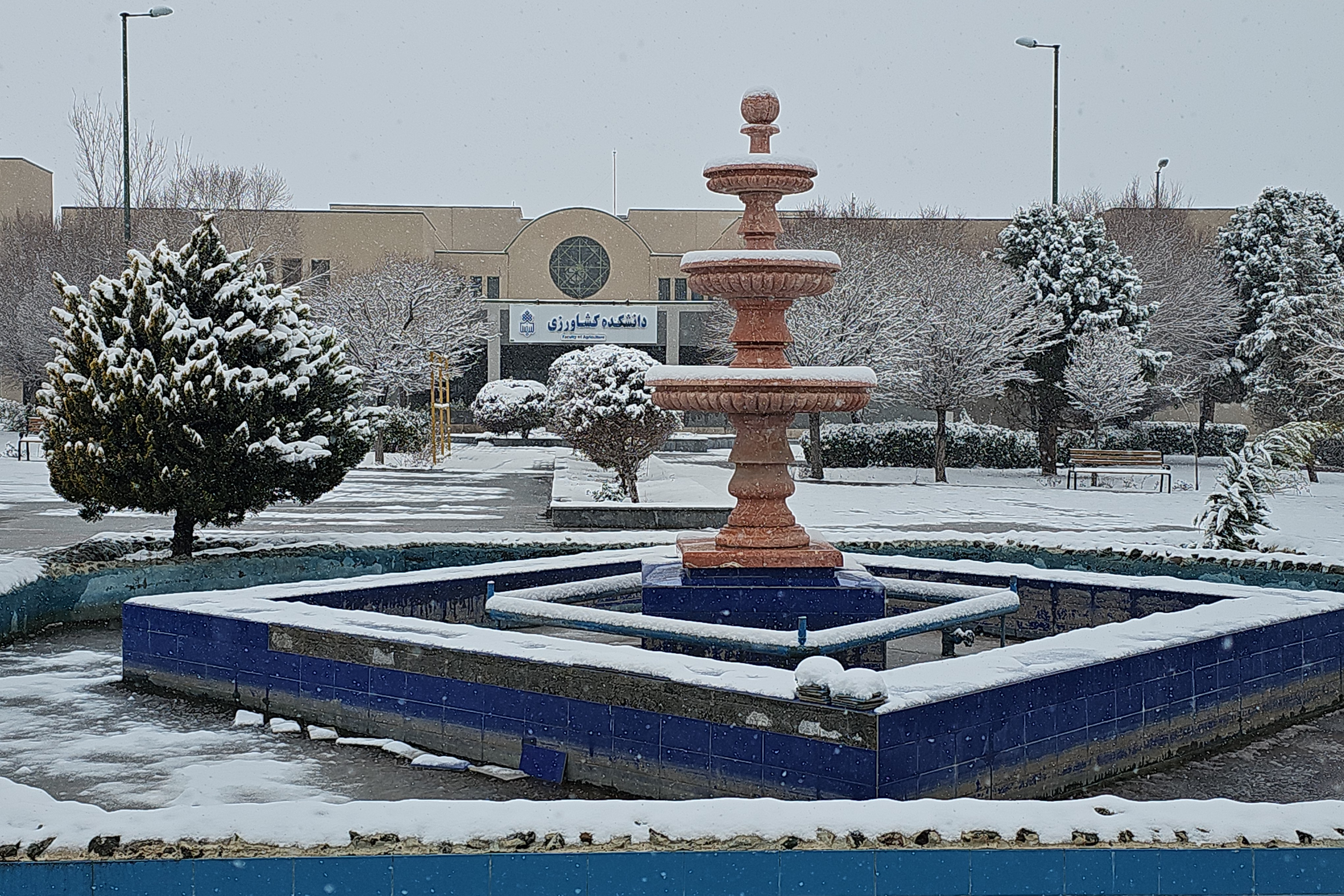 جلوه روز برفی در پردیس کشاورزی، منابع طبیعی و محیط زیست (1 بهمن 1404)