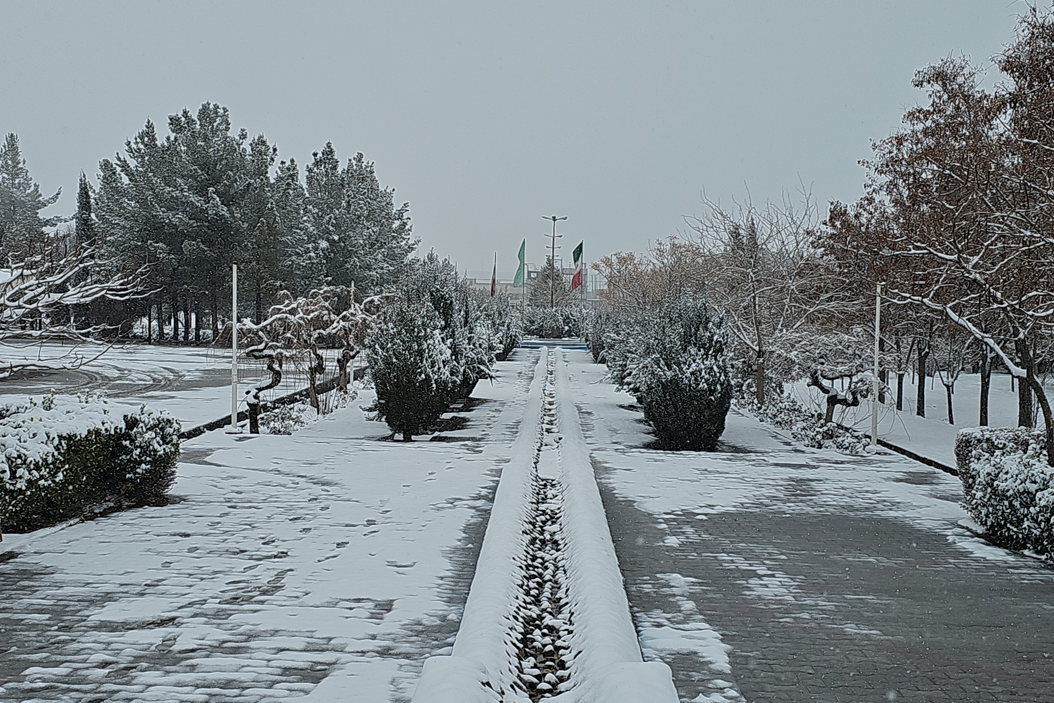 جلوه روز برفی در پردیس کشاورزی، منابع طبیعی و محیط زیست (1 بهمن 1404)