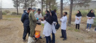 انجام عملیات واکسیناسیون و پشم چینی در واحد دامپروری پردیس توسط دانشجویان علوم دامی ورودی ۹۹