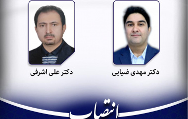 انتصاب عضو هیأت علمی دانشکده هنر دانشگاه بیرجند در کمیته تخصصی استانی طرح نشانی استاندارد مکانی ملی