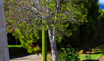 دانشگاه بیرجند؛ مهارت آموز و کارآفرین