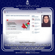 طرح پژوهشی عضو هیأت علمی دانشگاه بیرجند برای توسعه نانوژنراتورهای پوشیدنی هوشمند برگزیده شد