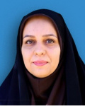 وحیده حسامی