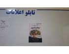 پویش «درخت امید»؛ فرصتی برای گفت‌وگو و شنیدن دغدغه‌های دانشجویان برگزار شد