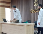 ارتقای تاب‌آوری سازمانی و مدیریت بحران: برگزاری دوره تخصصی «کمک‌های اولیه، احیای پایه (BLS) و خودایمنی در شرایط اضطراری» ویژه پرسنل حراست دانشگاه