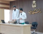 ارتقای تاب‌آوری سازمانی و مدیریت بحران: برگزاری دوره تخصصی «کمک‌های اولیه، احیای پایه (BLS) و خودایمنی در شرایط اضطراری» ویژه پرسنل حراست دانشگاه