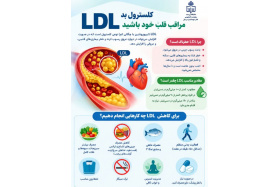 LDL شما در محدوده مناسب است یا زنگ خطر قلبتان؟