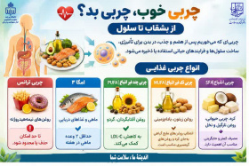همه چربی‌ها مضرند؟ کدام چربی را انتخاب کنیم؟