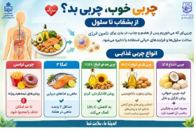 همه چربی‌ها مضرند؟ کدام چربی را انتخاب کنیم؟