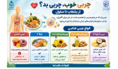 همه چربی‌ها مضرند؟ کدام چربی را انتخاب کنیم؟