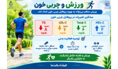 آیا ورزش می‌تواند چربی خونتان را تغییر دهد؟