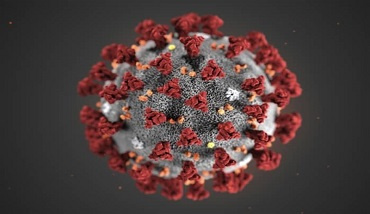 باور‌های رایج اما غلط در مورد ویروس کرونا
