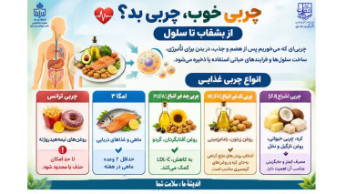 همه چربی‌ها مضرند؟ کدام چربی را انتخاب کنیم؟