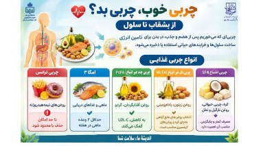 همه چربی‌ها مضرند؟ کدام چربی را انتخاب کنیم؟