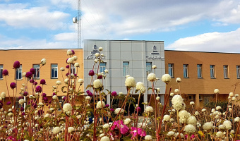 مدیریت فناوری اطلاعات