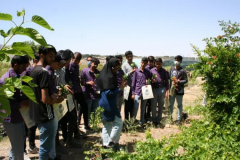 تصاویر بازدید دانش آموزی از پردیس کشاورزی