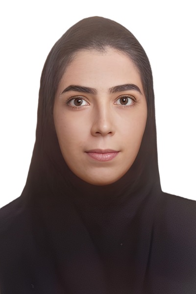 سید حسین حسینی