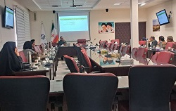 کارگاه آموزشی شناخت معیارهای رتبه‌بندی دانشگاه‌ها و نقش اثرگذار اعضای هیات علمی در رتبه‌بندی‌ها در دانشگاه بیرجند برگزار شد