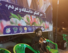 استاد حوزه علمیه:دیپلماسی عزت؛ دنیا تشنه فرمول پیروزی ایران است