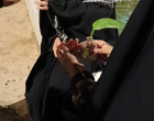 دانشجویان کانون معرفتی مهدویت دانشگاه بیرجند از دختران پای کار در میدان اجتماعات تقدیر کردند