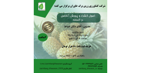 دوره کشت و پرورش آناناس