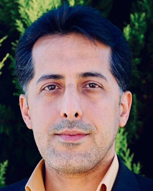 سید محمد رضوی
