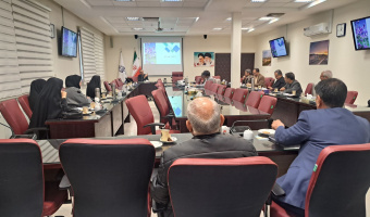 کارگاه آموزشی آشنایی با طرح پذیرش دانشجوی تحصیلات تکمیلی استاد محور (سامانه نان) در دانشگاه بیرجند برگزار شد