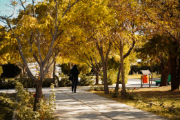 فصل پاییز در دانشگاه بیرجند (آبان ماه ۱۴۰۴)