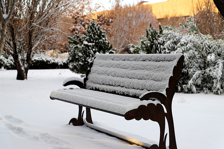 زمستان در دانشگاه بیرجند (بهمن‌ماه 1404)