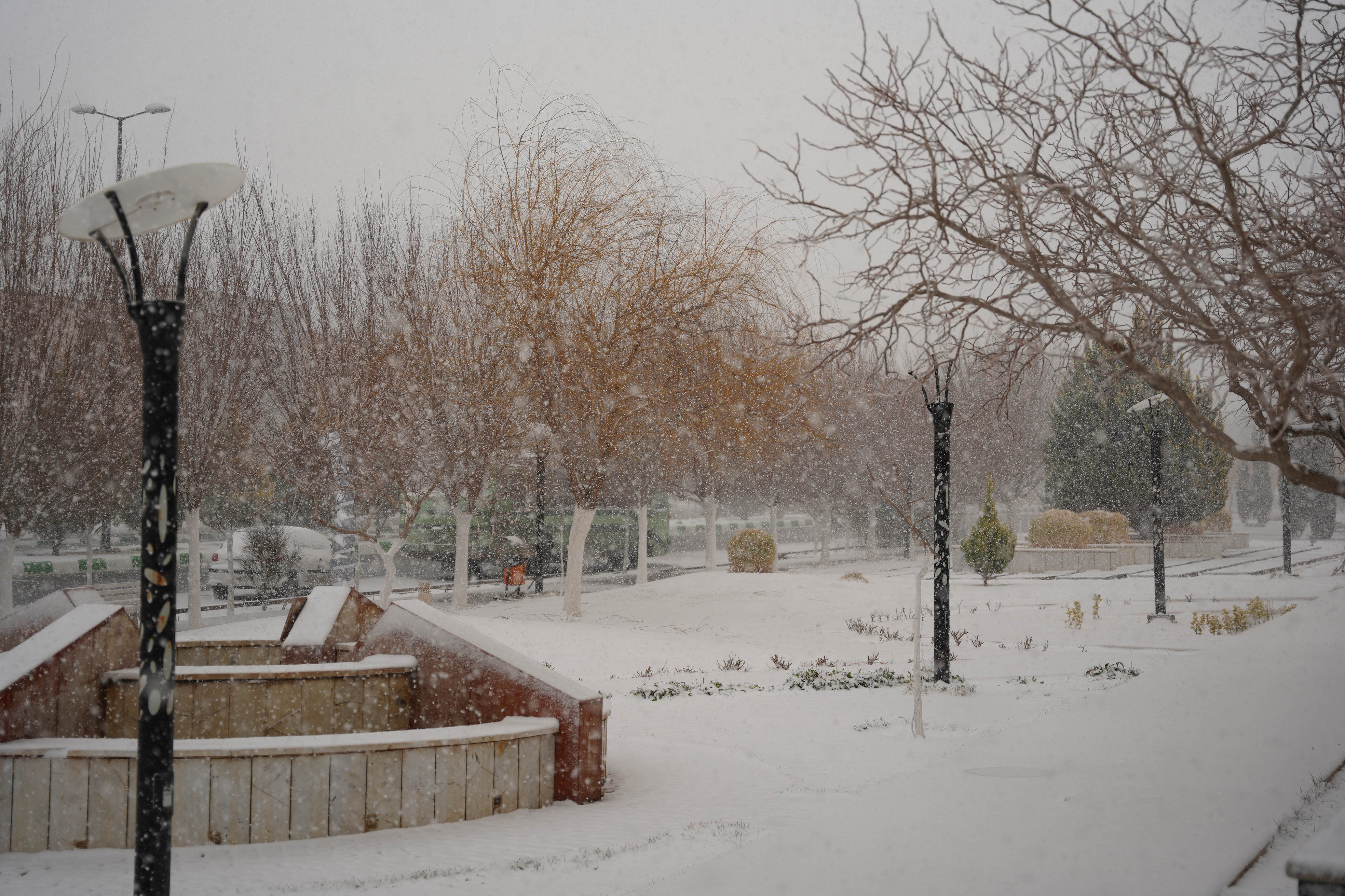 عکس: محمدمهدی دانش‌دوست