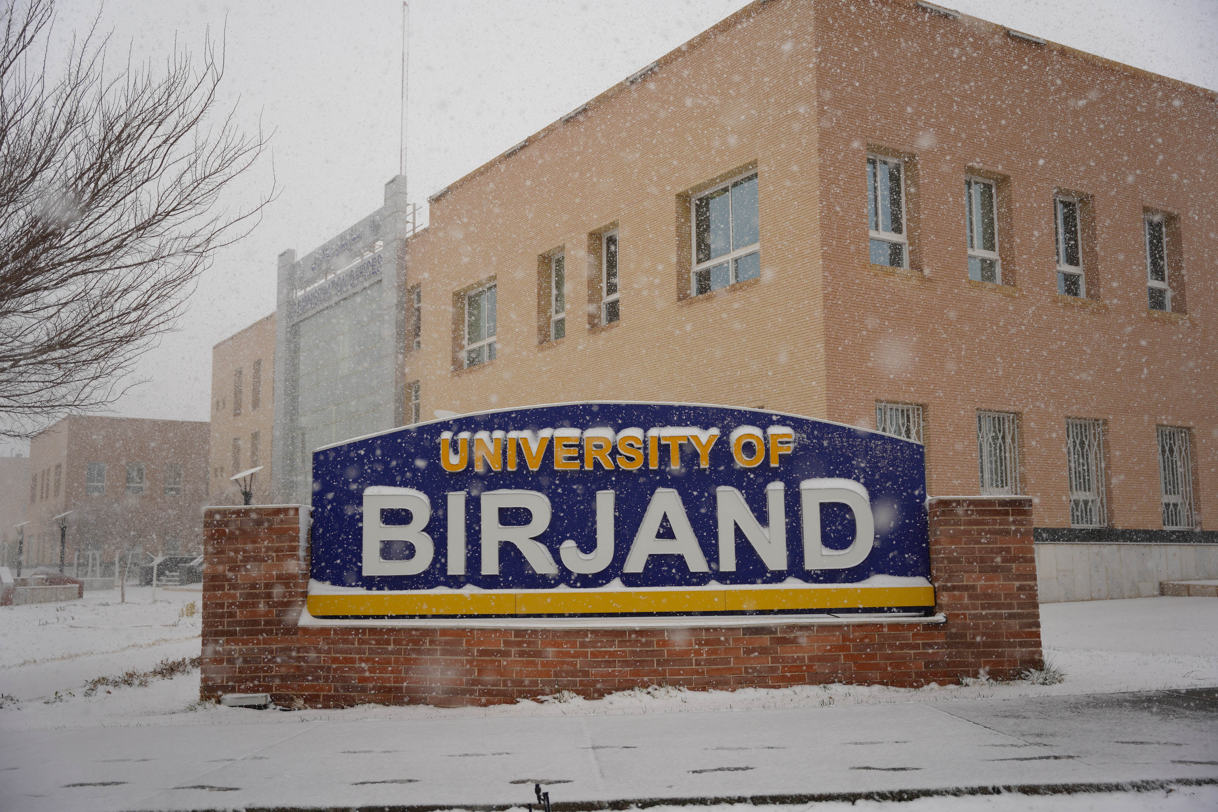 عکس: محمدمهدی دانش‌دوست