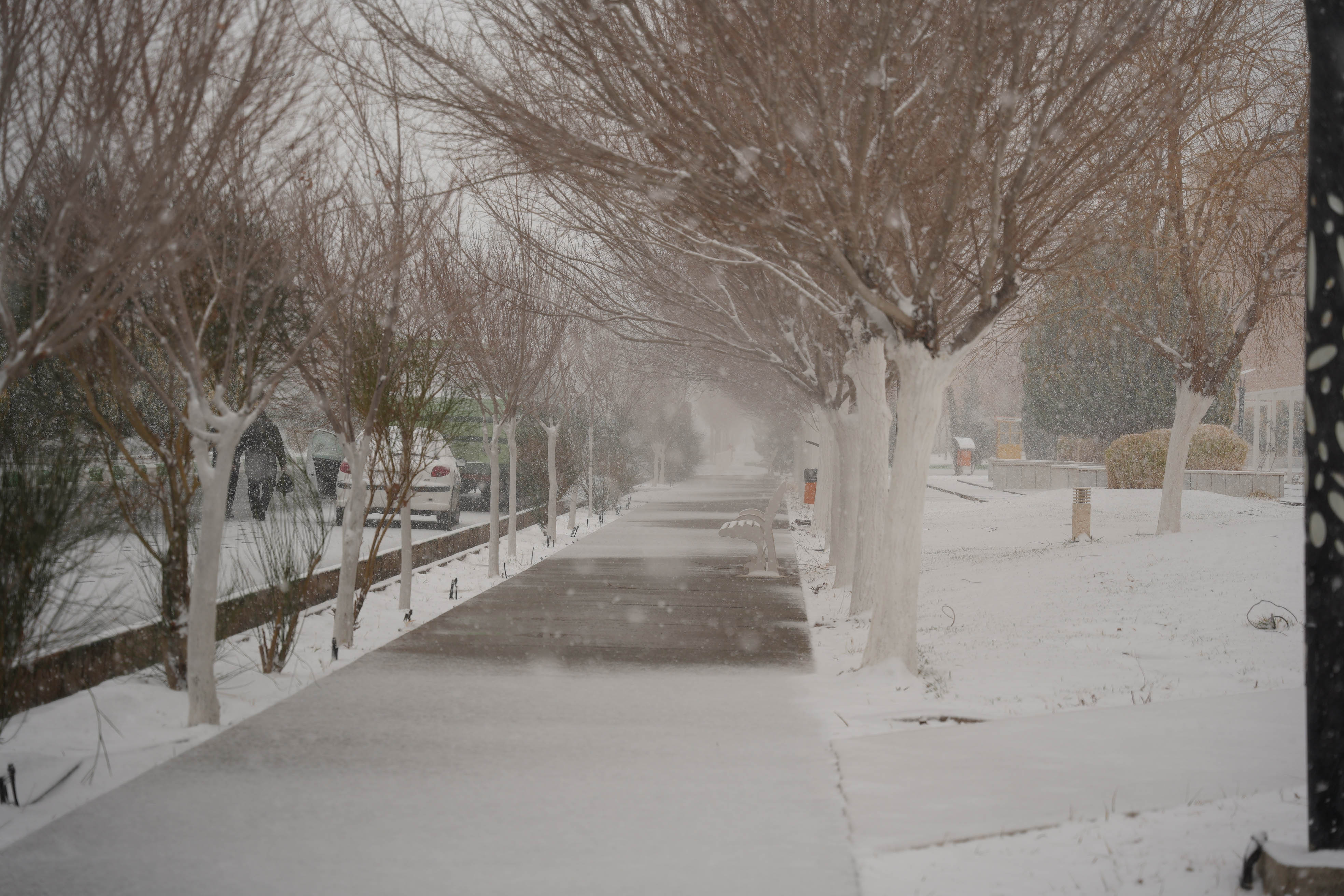 عکس: محمدمهدی دانش‌دوست