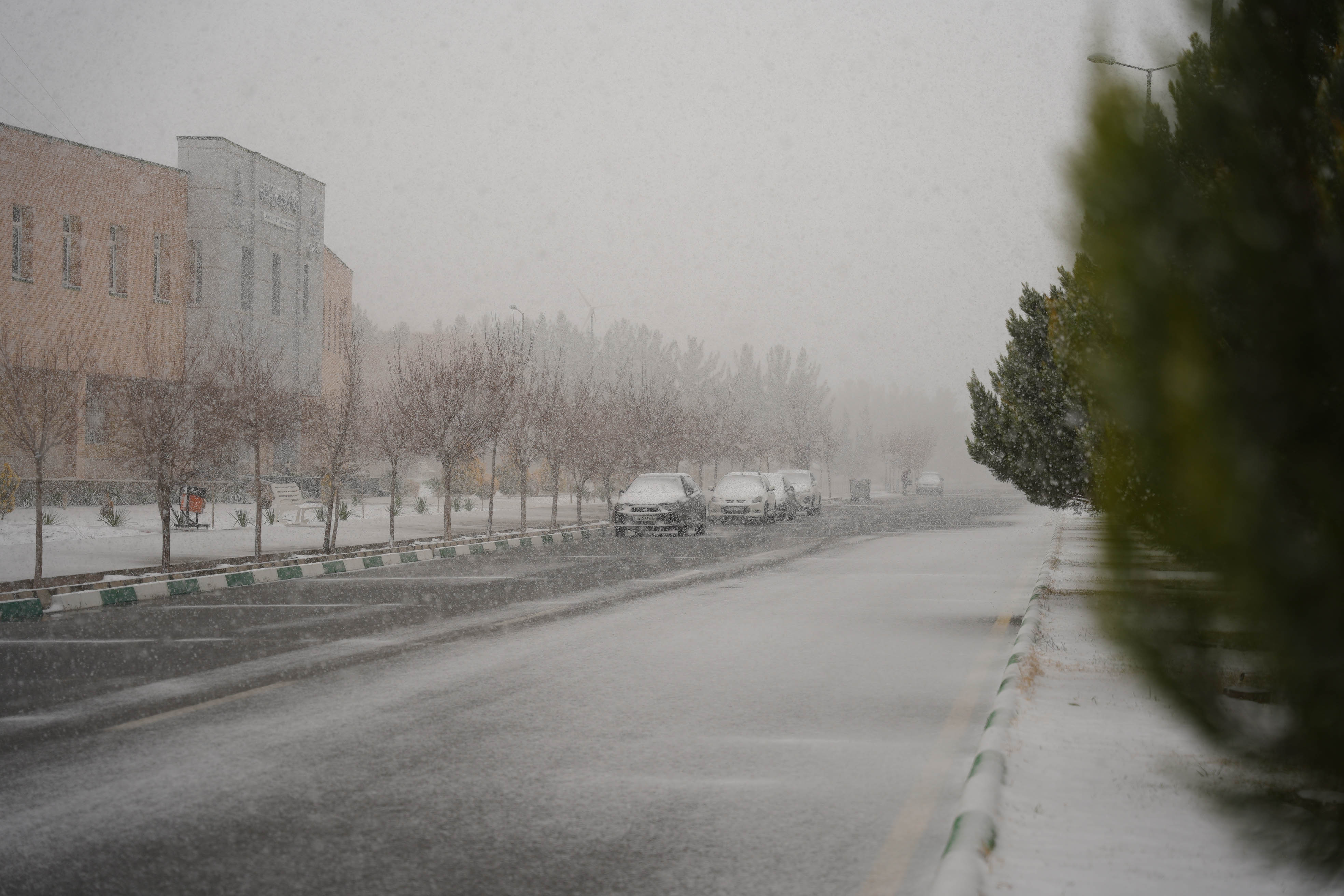 عکس: محمدمهدی دانش‌دوست