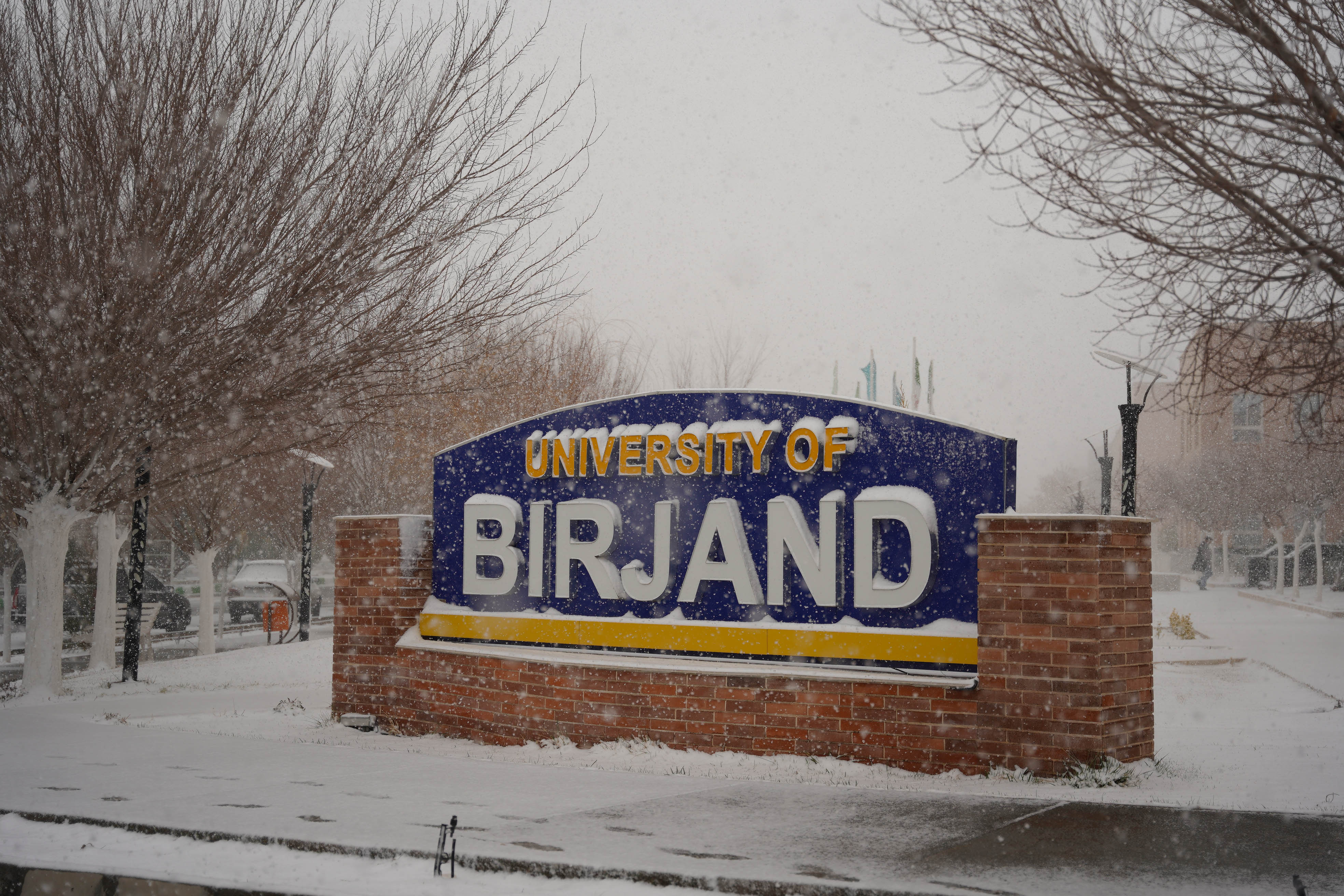 عکس: محمدمهدی دانش‌دوست